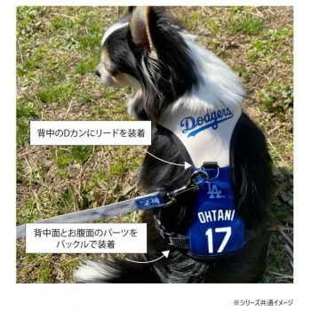 ドジャース 大谷翔平選手モデル