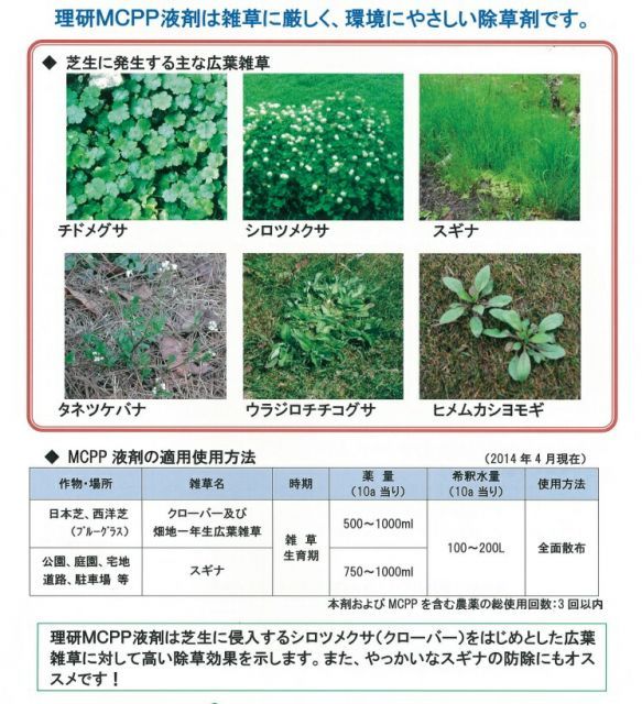 芝生の除草剤 理研