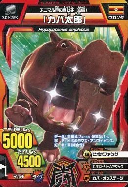 中古】グレートアニマルカイザー C50A-074：カバ太郎 - メルカリ