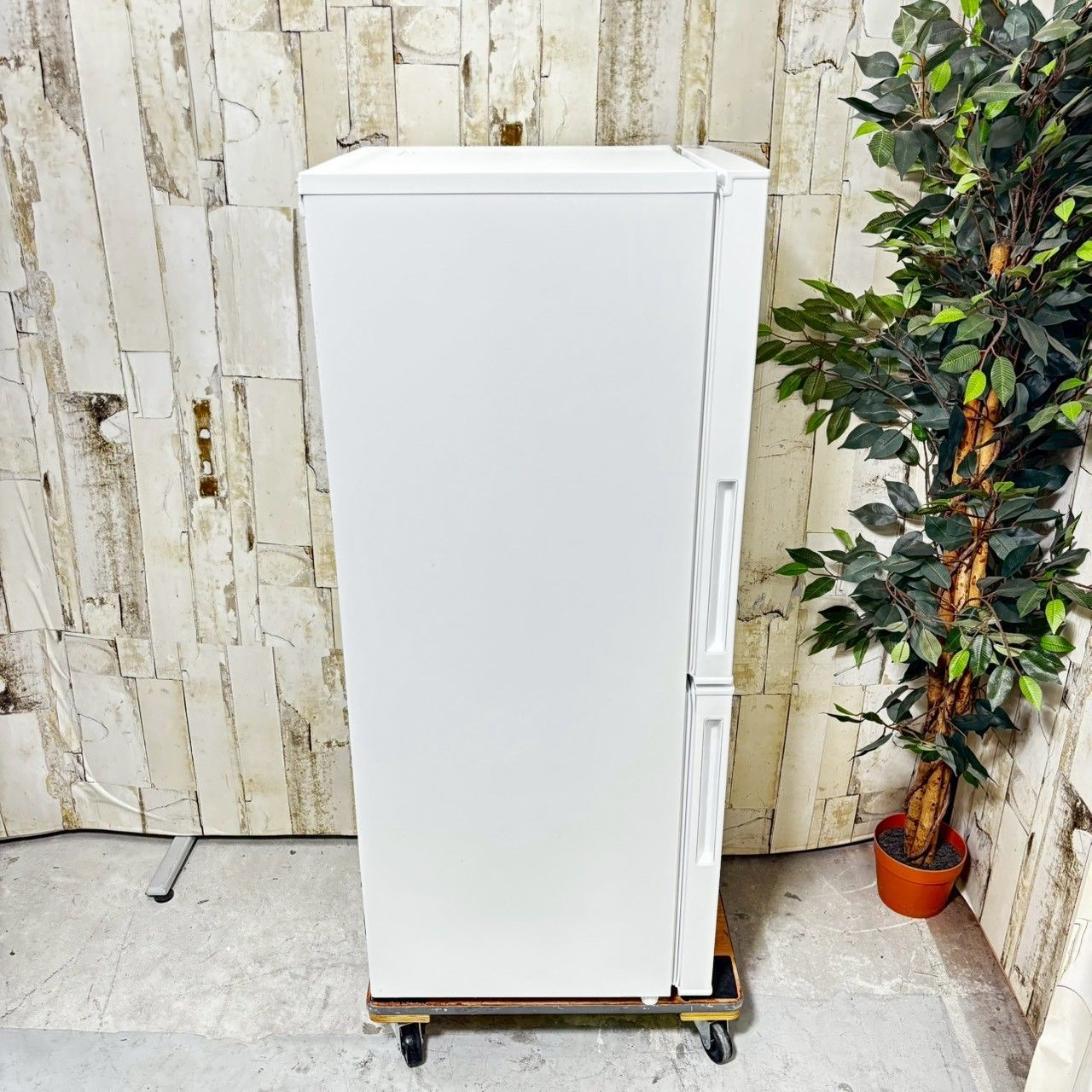 配送設置無料no592 2023年 NITORI ニトリ NTR-140WH 140L 2ドア 冷凍冷蔵庫