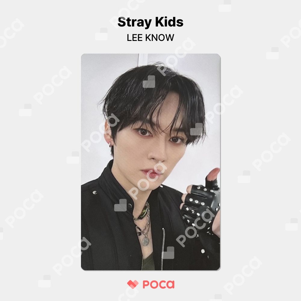 straykids stay zone トレカ　リノ straykids リノ スキズ トレカ Stray Kids World Tour dominATE