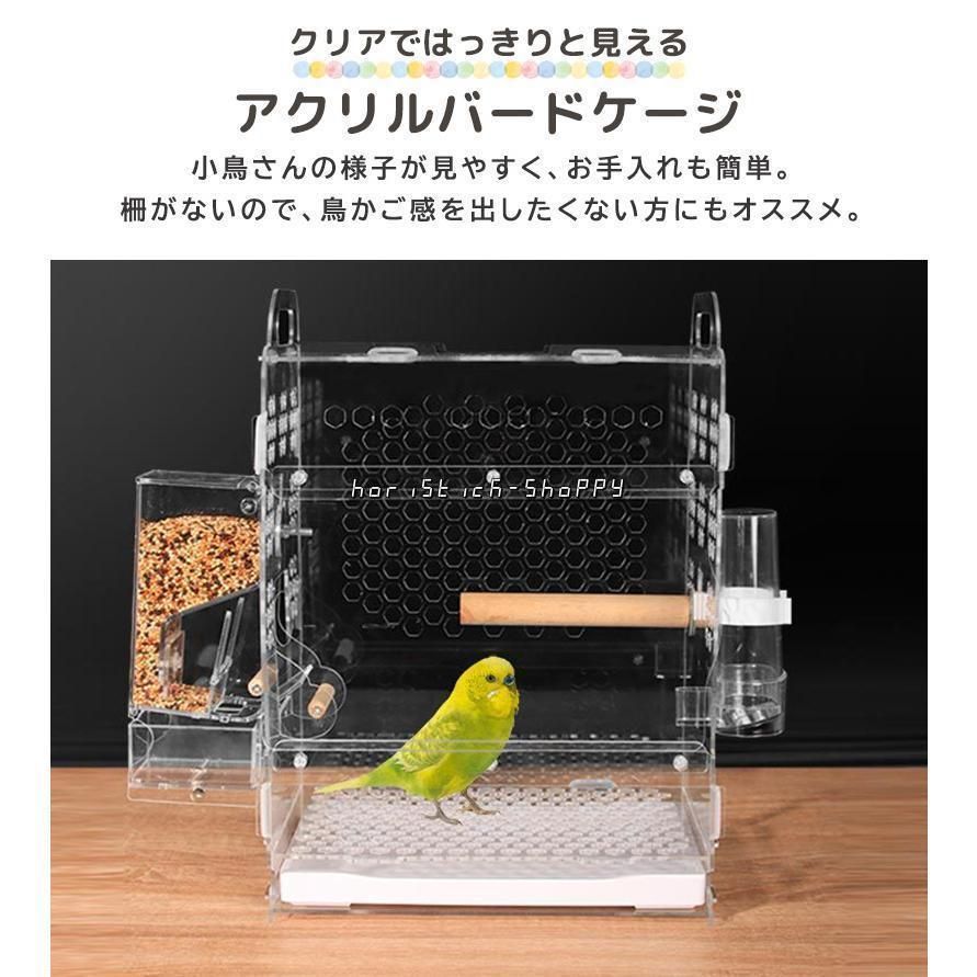 鳥