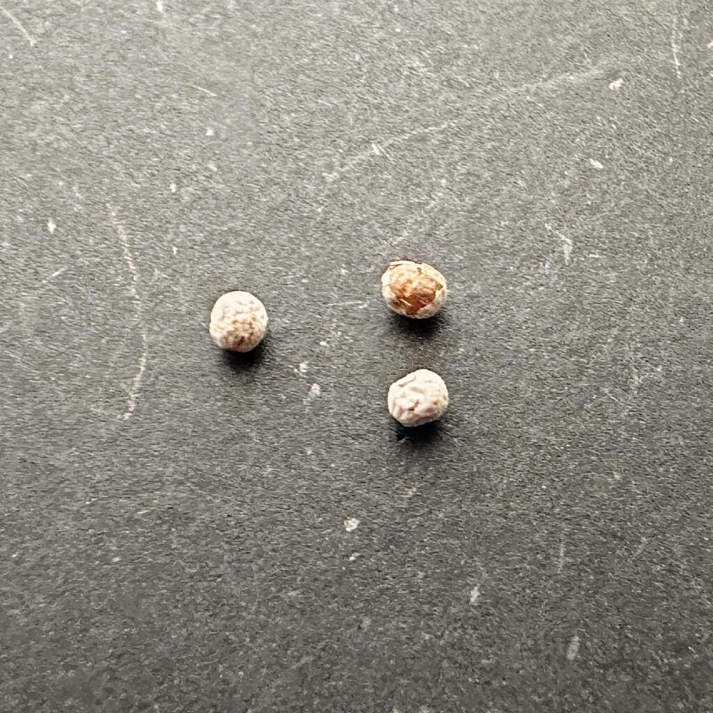 断捨離開始 Pica Corp 温度調整ファン付きヒーター