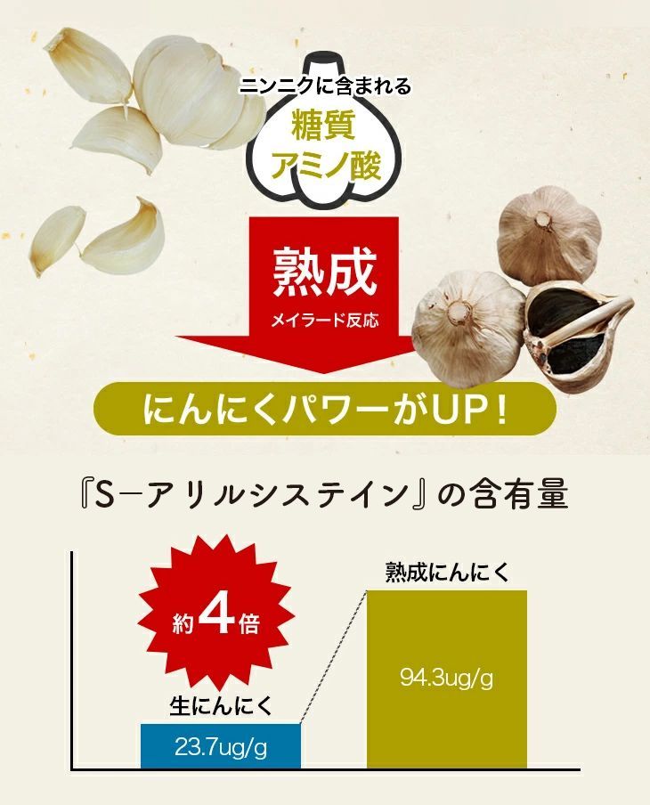 協賛価格