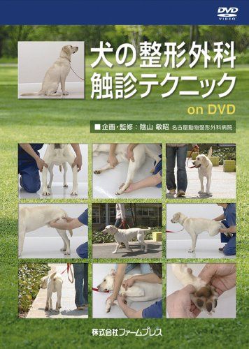犬の整形外科触診テクニックonDVD 陰山 敏昭