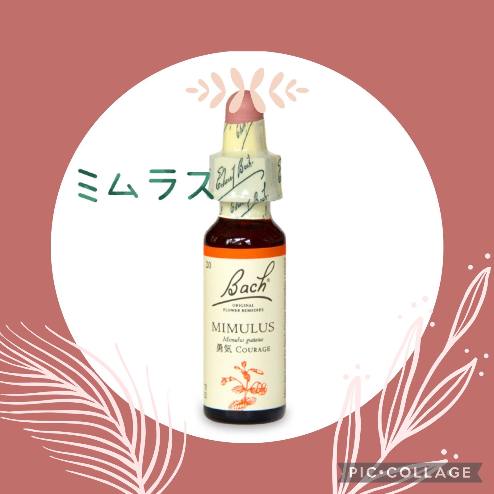 ウィロウ 20ml バッチフラワー フラワーエッセンス レメディ ネルソン