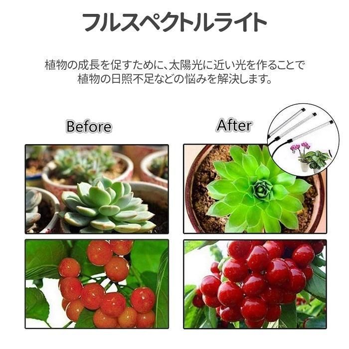 植物育成ライト