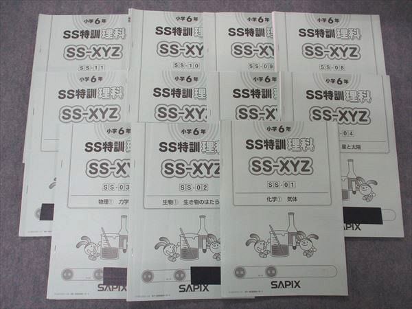 UD05-017 SAPIX 小6 麻布・難関 SS特訓 理科 SS-XYZ 化学 気体/物理