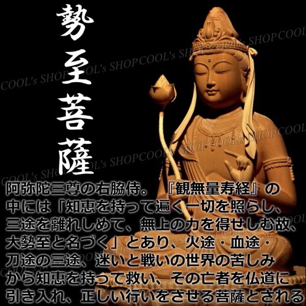 勢至菩薩 全面装飾 フルオーダー フルメタルジャケット ZORRO 和彫り