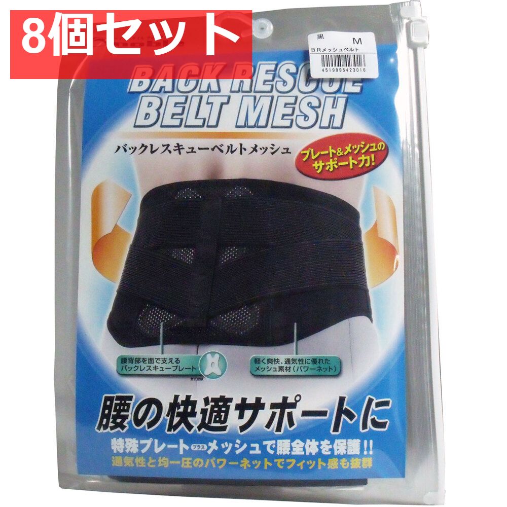 未使用】懷舊堂 張氏葳 徽州老胡開文監製 緒癸卯仲春元和廷鑾属