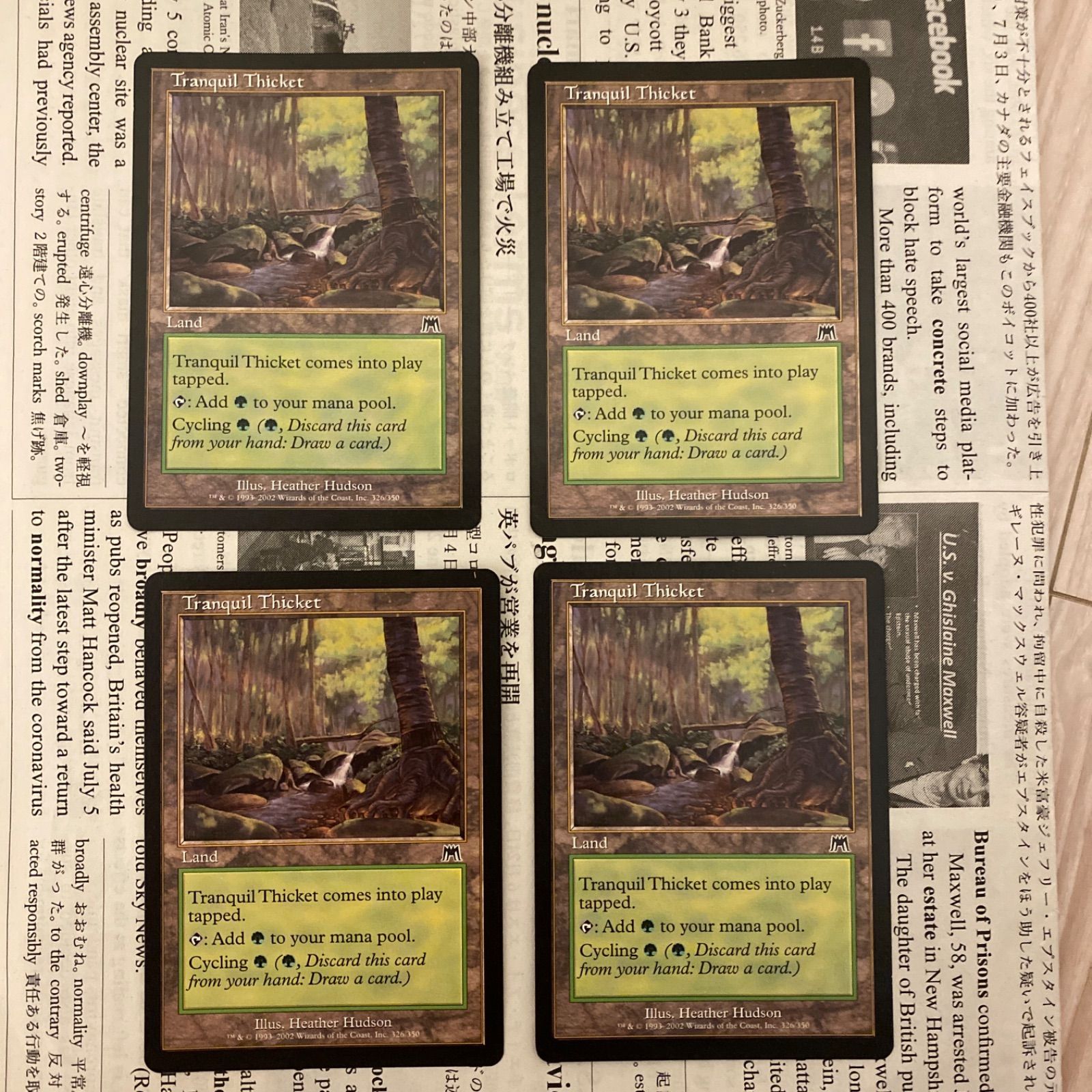 MTG 平穏な茂み 4枚 英語 旧枠 Tranquil Thicket - メルカリ