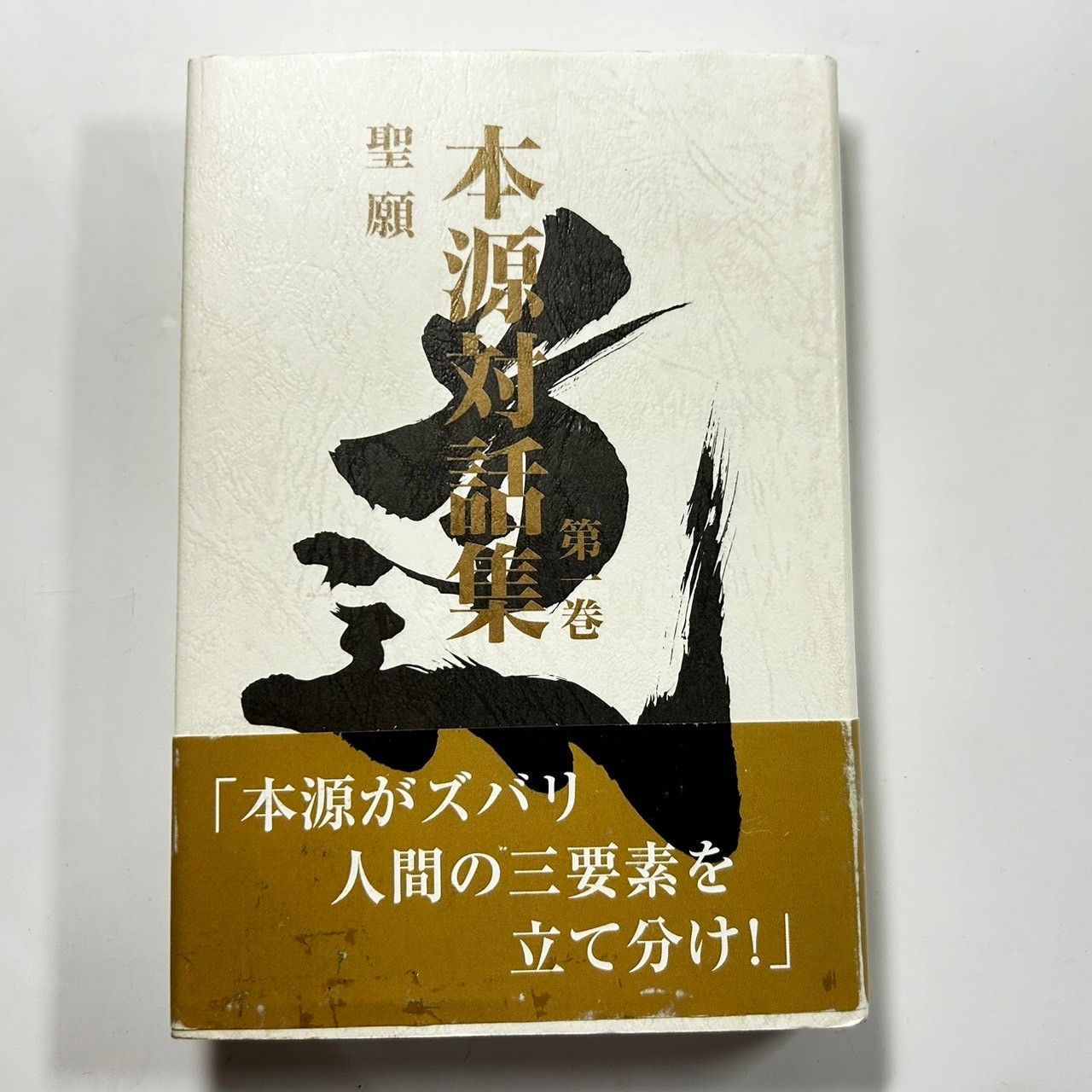 本源対話集　第一巻　聖願 本 本源対話集 第1巻 第一巻 聖願 (管理番号：NIS5301) - メルカリ