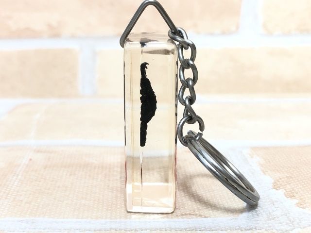 Supreme scorpion keychain deals