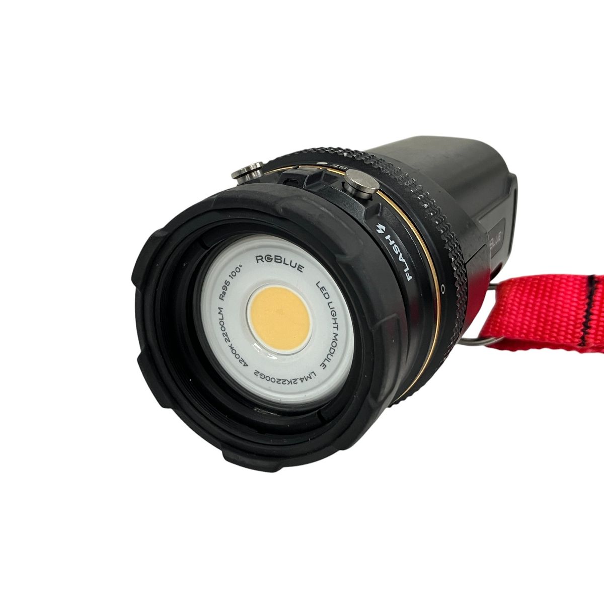 RGBlue SYSTEM02-2 Premium Coler LM4.2K2200G2 BM6721L ダイビング用 水中ライト アールジーブルー 最大2200ルーメン 良好 T9792526