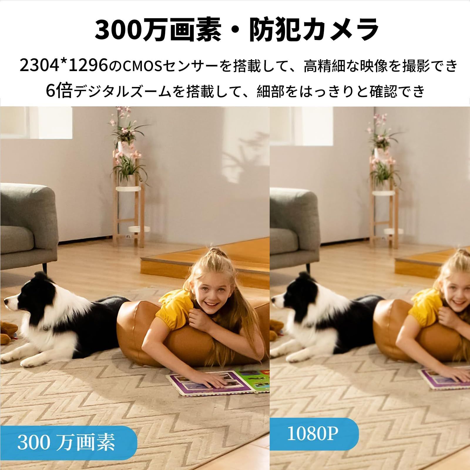 ペットカメラ 防犯カメラ