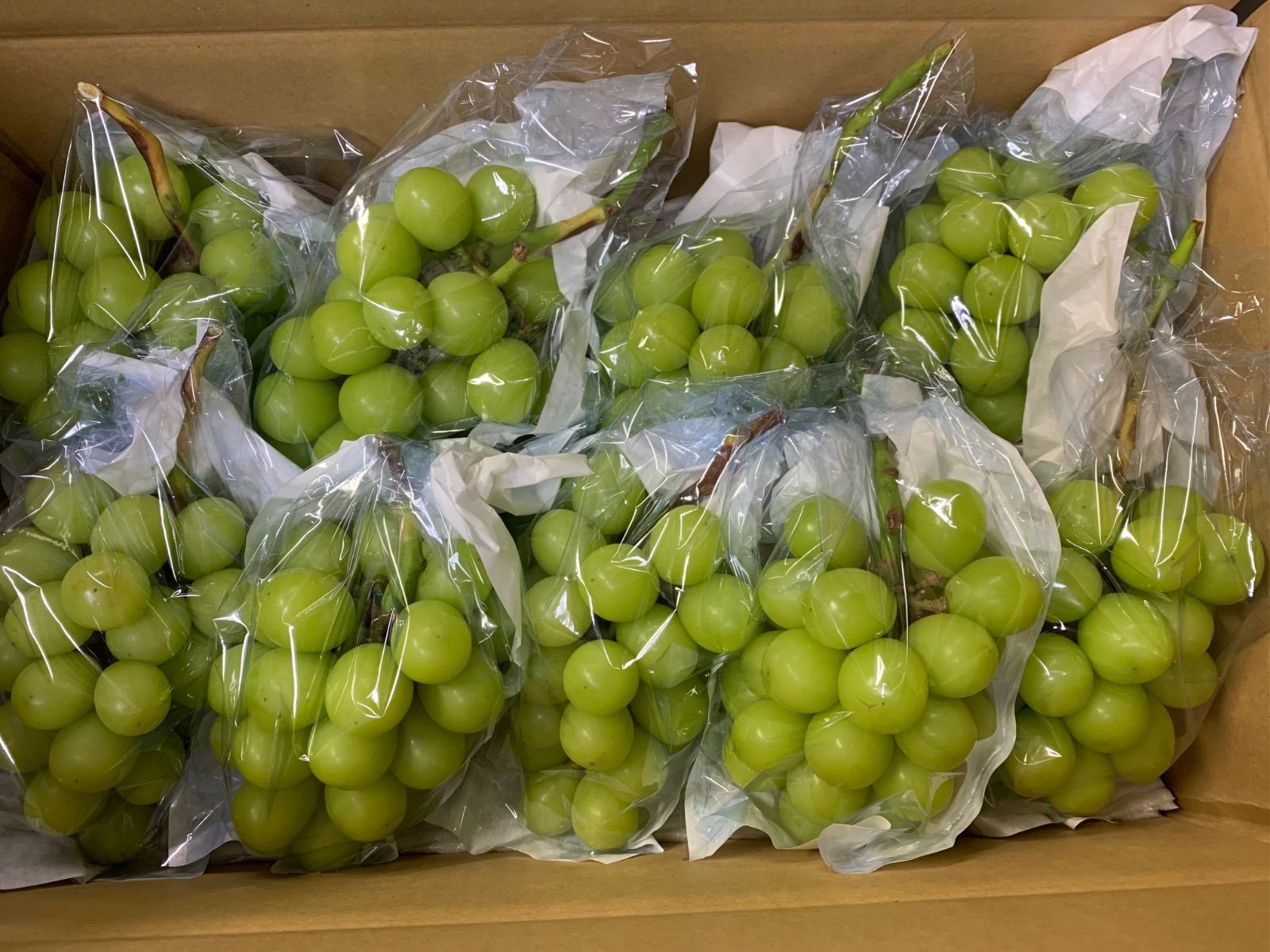 長野県産シャインマスカット4キロ