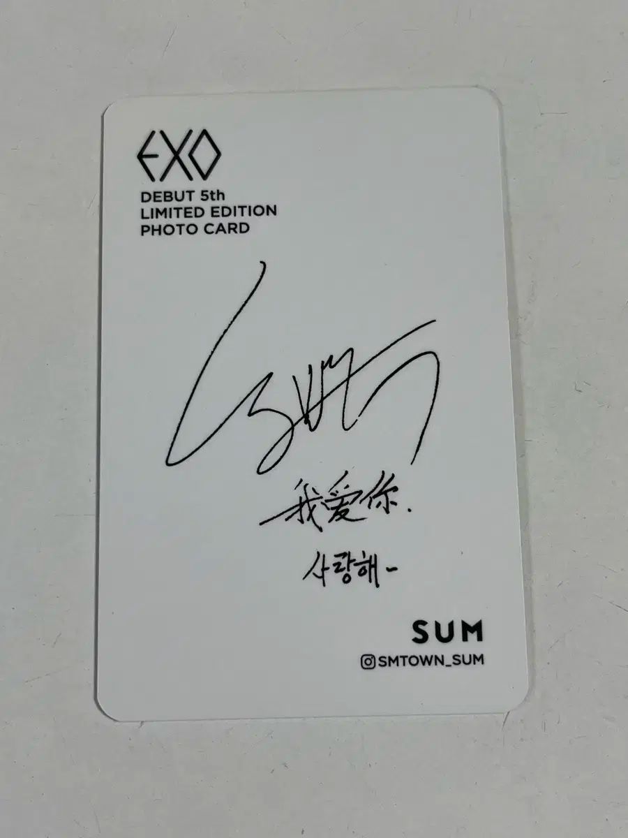 EXO(エクソ) レイ デビュー 5 周年 トレカ フォトカード トレカ EXO so