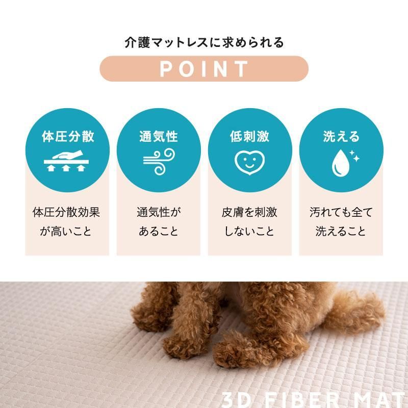丸洗い 小型犬