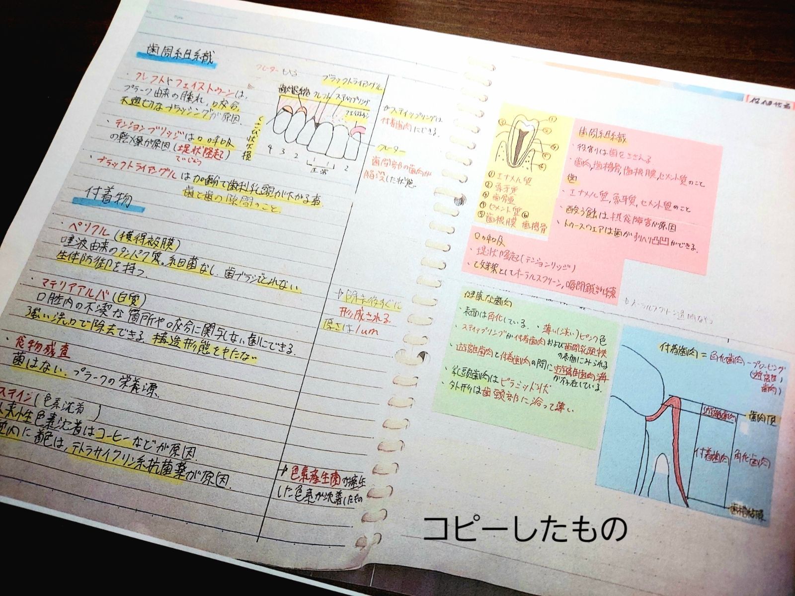 歯科衛生士 DH 国家試験 国試まとめノート 付箋や写真付き 語呂合わせ