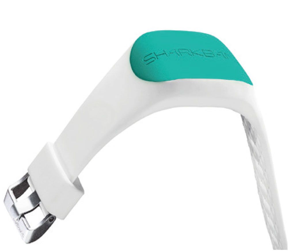 SHARK BANZ 2 SLATE-AZURE｜シャークバンズ SHARKBANZ シャークバンズ