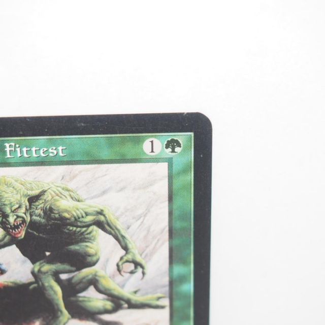 MTG　適者生存　Survival of the Fittest　エクソダス Survival of the Fittest | Exodus - Spanish | Star City Games