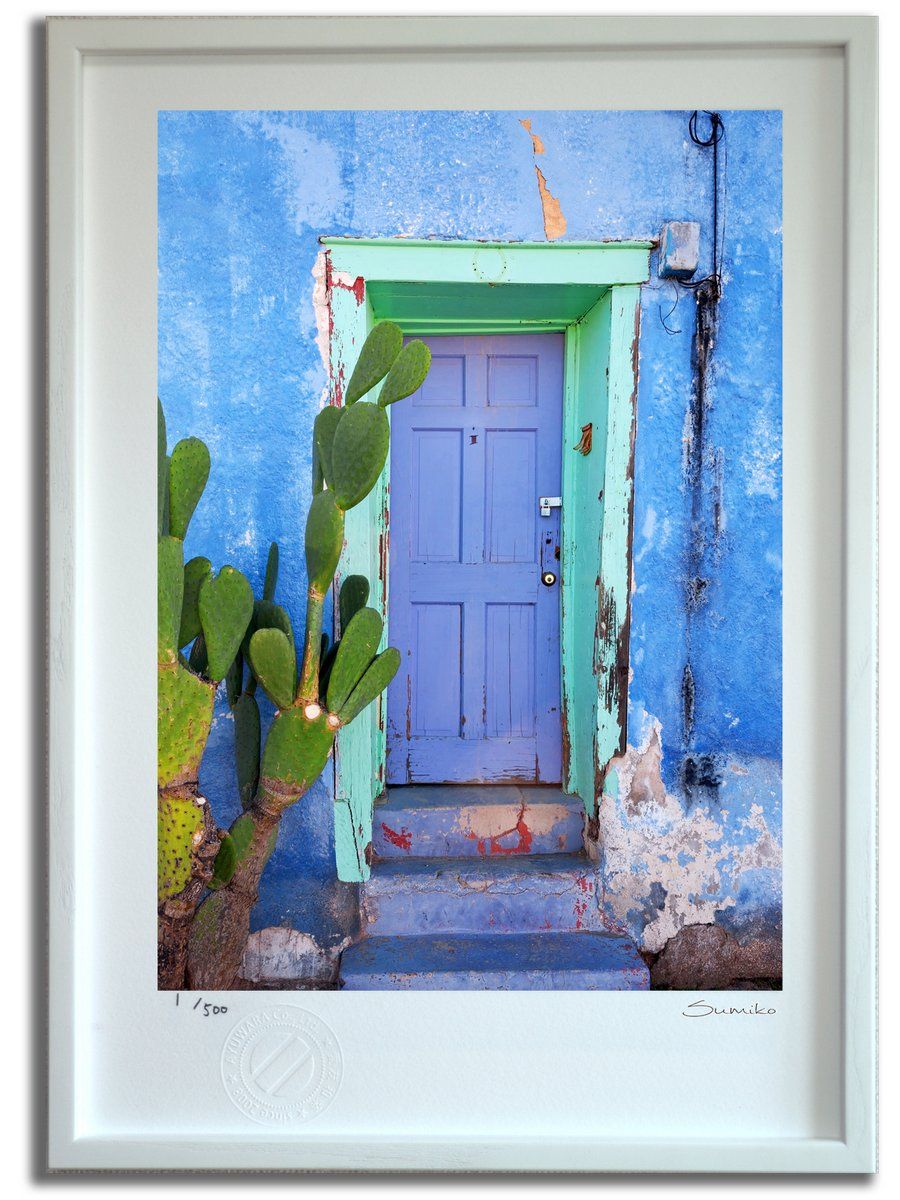 葉祥明 「妖精の棲む森」 限定版画 Amazon.co.jp: 絵画 葉祥明（ よう