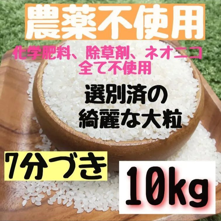 綺麗な大粒揃い】農薬不使用 化学肥料不使用 ヒノヒカリ 白米 10kg