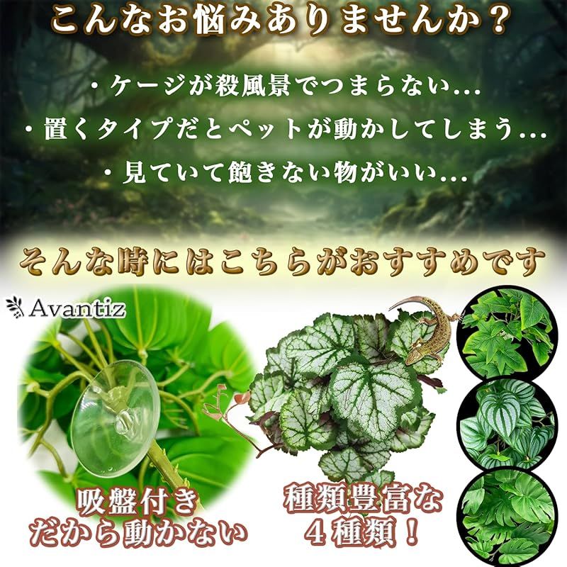 人工植物 ビバリウム 爬虫類 ケージ用 水槽 葉 両生類 イモリ