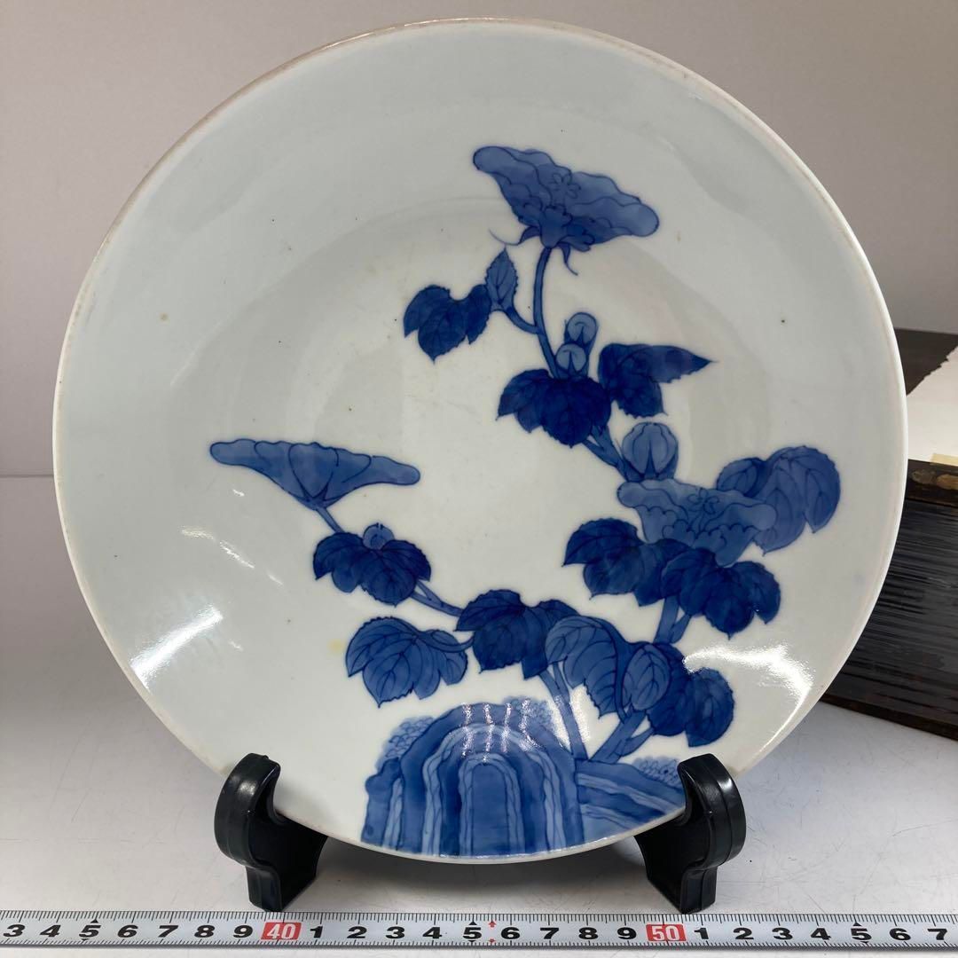 鍋島 朝顔の図 共箱 直径21.5㎝ 東Y5-0524