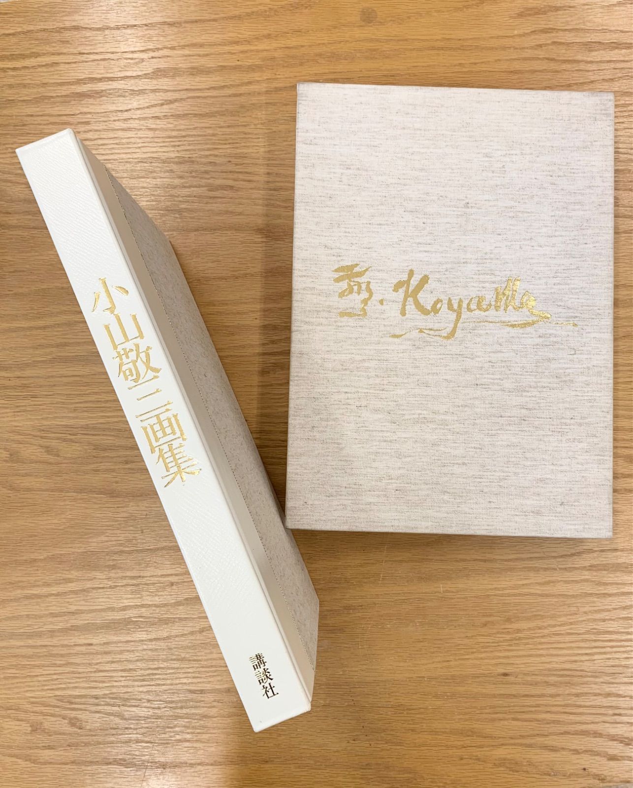 小山敬三画集 特装版 Keizo Koyama こやまけいぞう 画集 アート 特装版 洋画家