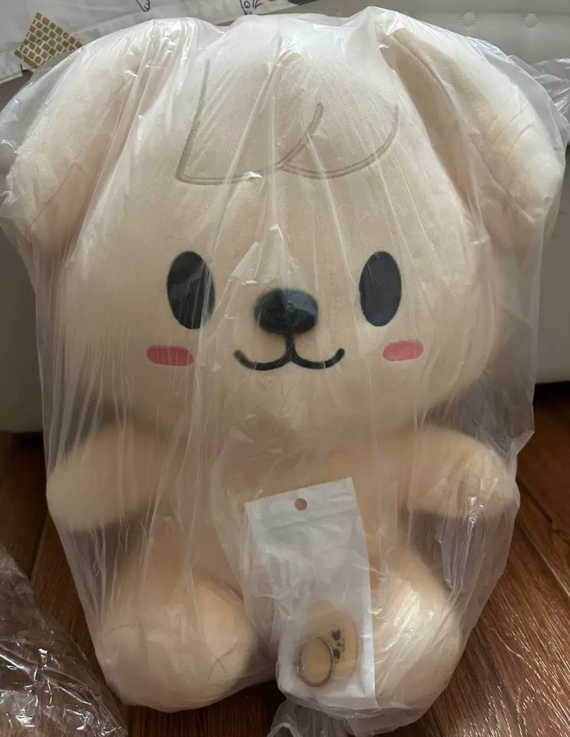 stray kids スンミン 40cm ぬいぐるみ 新品 マスター - メルカリ