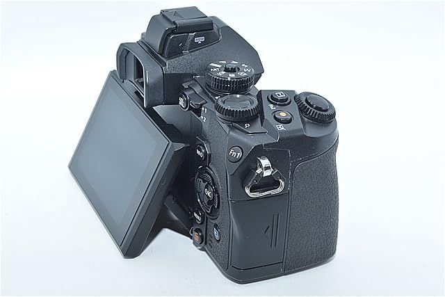 239☆ほぼ新品☆OLYMPUS ミラーレス一眼 OM-D M1 ボディ