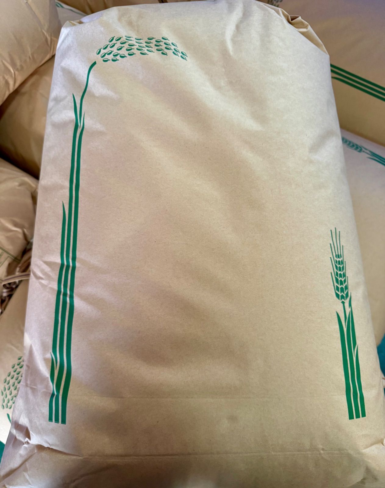 新米 キヌヒカリ 20キロ 玄米 中米