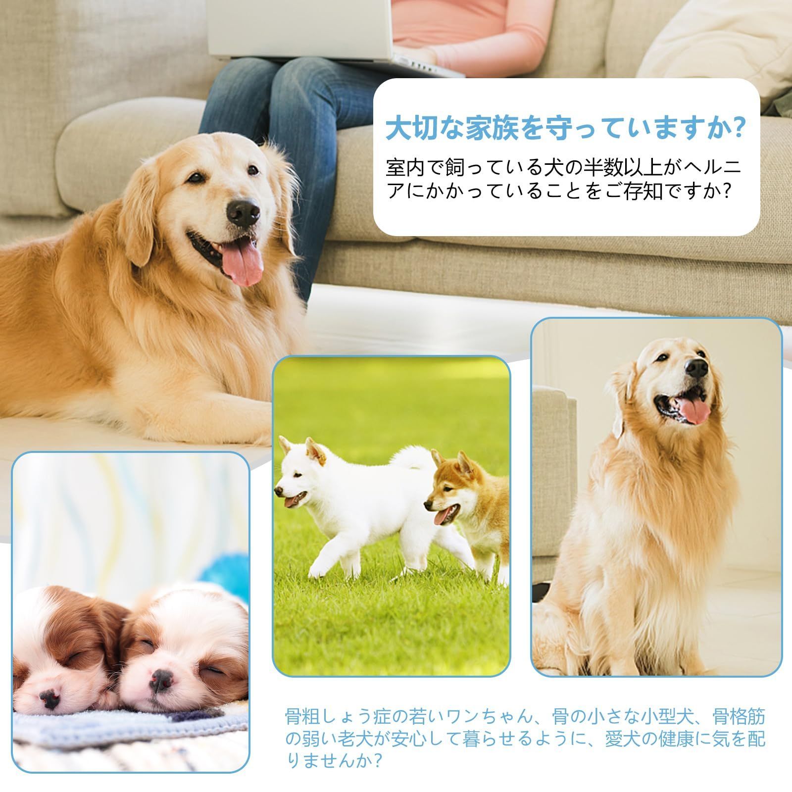 数量限定】足腰への負担を軽減 スロープ 犬用階段 犬 ケガ防止 犬 安全