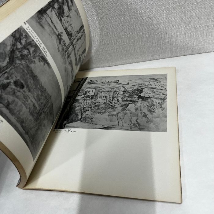 巨匠の世界〈〔13〕〉セザンヌ (1974年) Amazon.co.jp: ポール・セザンヌ (世界の名画:巨匠と作品