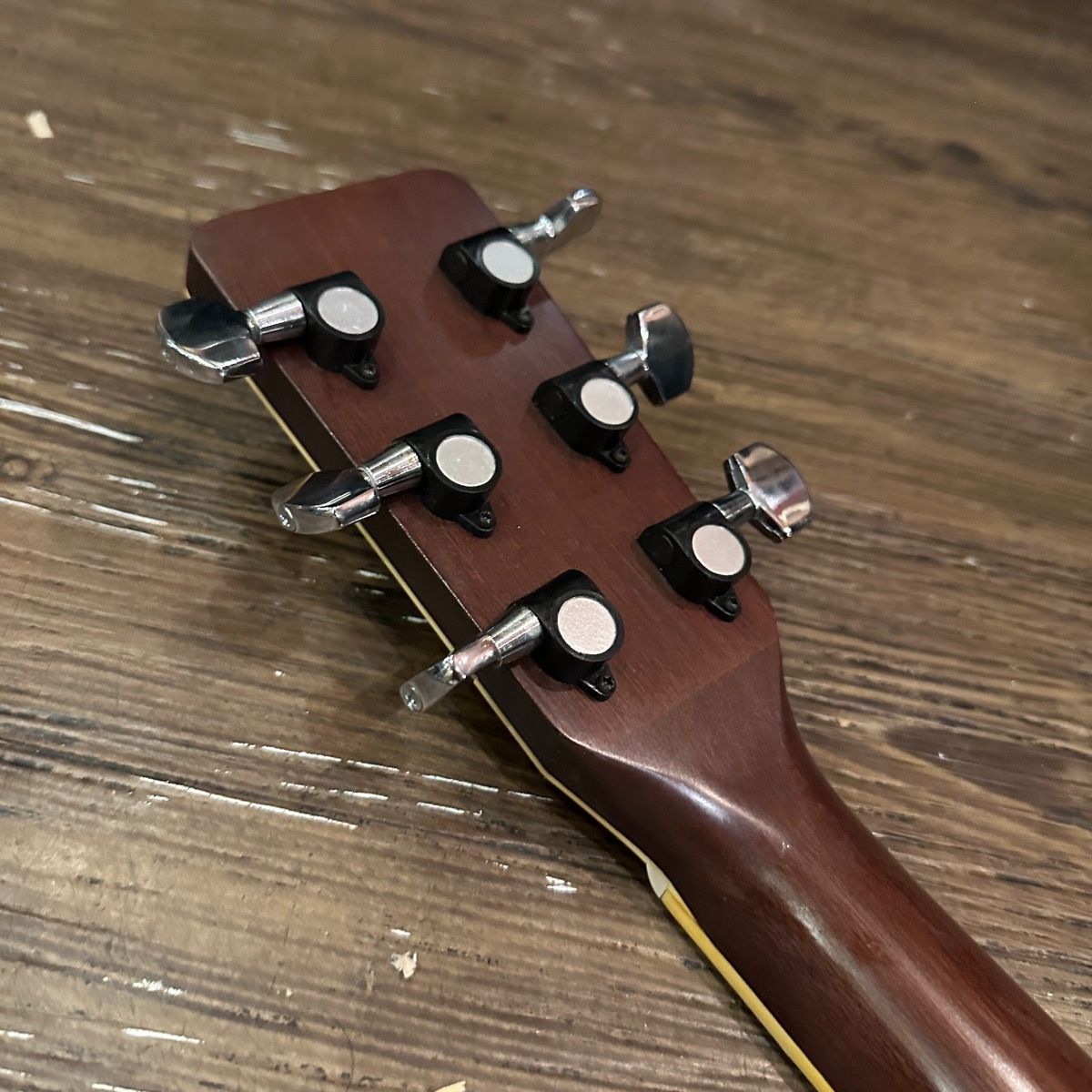 CE-250 Eyes Cat's Tokai アコースティックギター ハードケース付