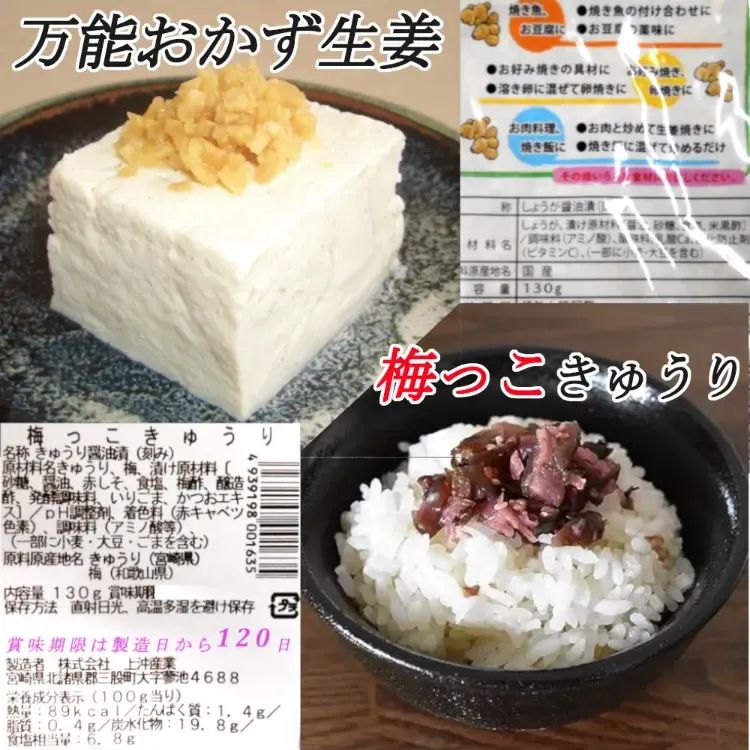 お試し商品価格》宮崎の漬物 ご飯のお供二選 「梅っこきゅうり」130g×1袋「万能おかず生姜」130g×1袋 お試し ご飯のお供 おにぎり おかず  きざみ 送料無料！ セット販売！！ - メルカリ