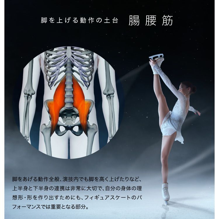 股関節