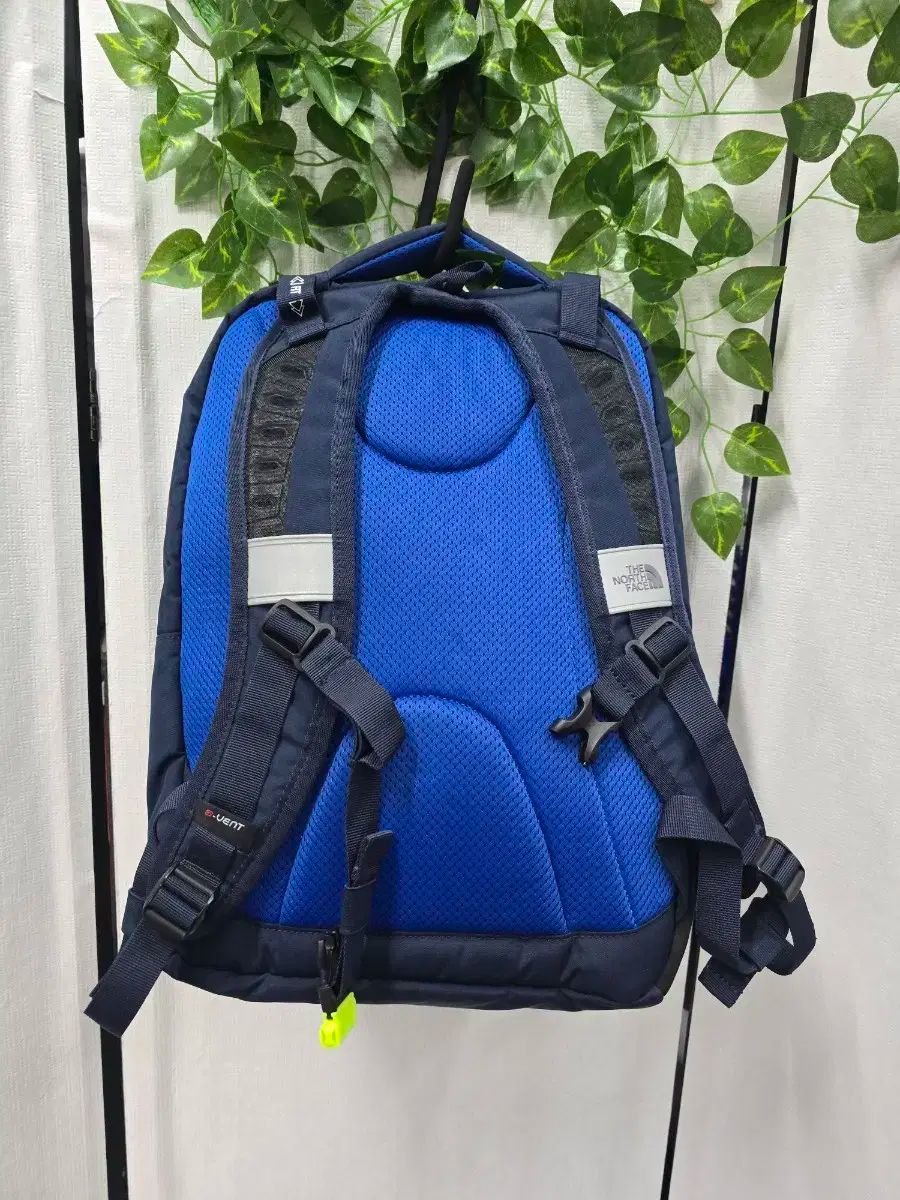 THE NORTH FACE ザノースフェイス 本