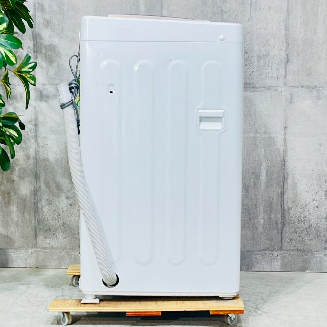 AQUA 洗濯機5kg 美品 AQUA 縦型洗濯機 AQW-H54 2023年製