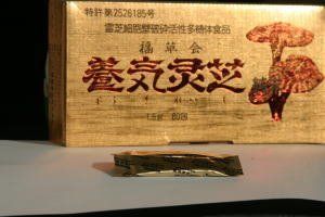 直井霊芝GY株使用 養気霊芝純末 日本 栽培 1.5g×60包