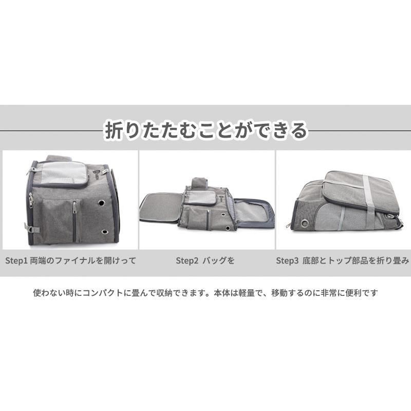 小型犬 ペット