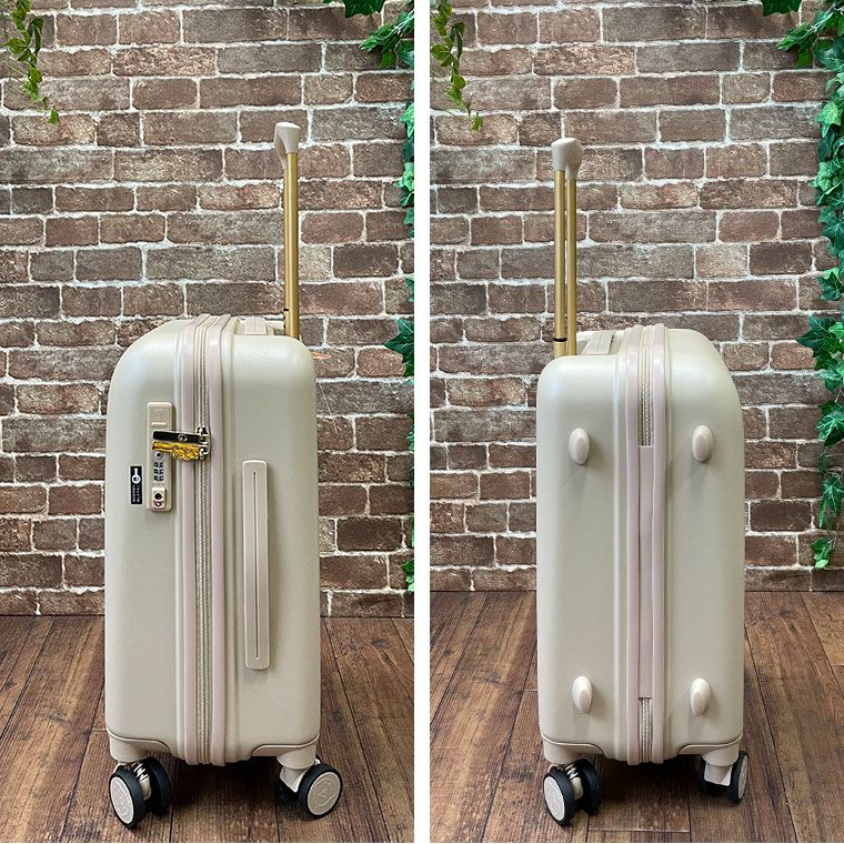 キャリーバッグ