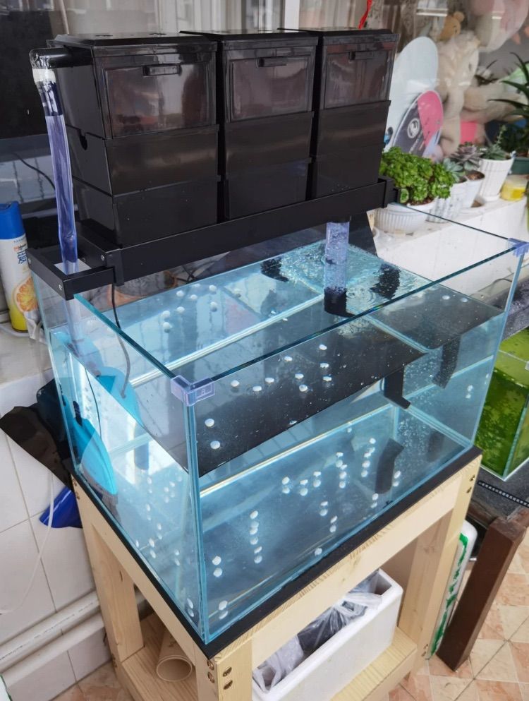 物理と生物濾過フィルター硬質ボックス水質メンテナンス効果あり対応水槽サイズ50-70cmボックス9個