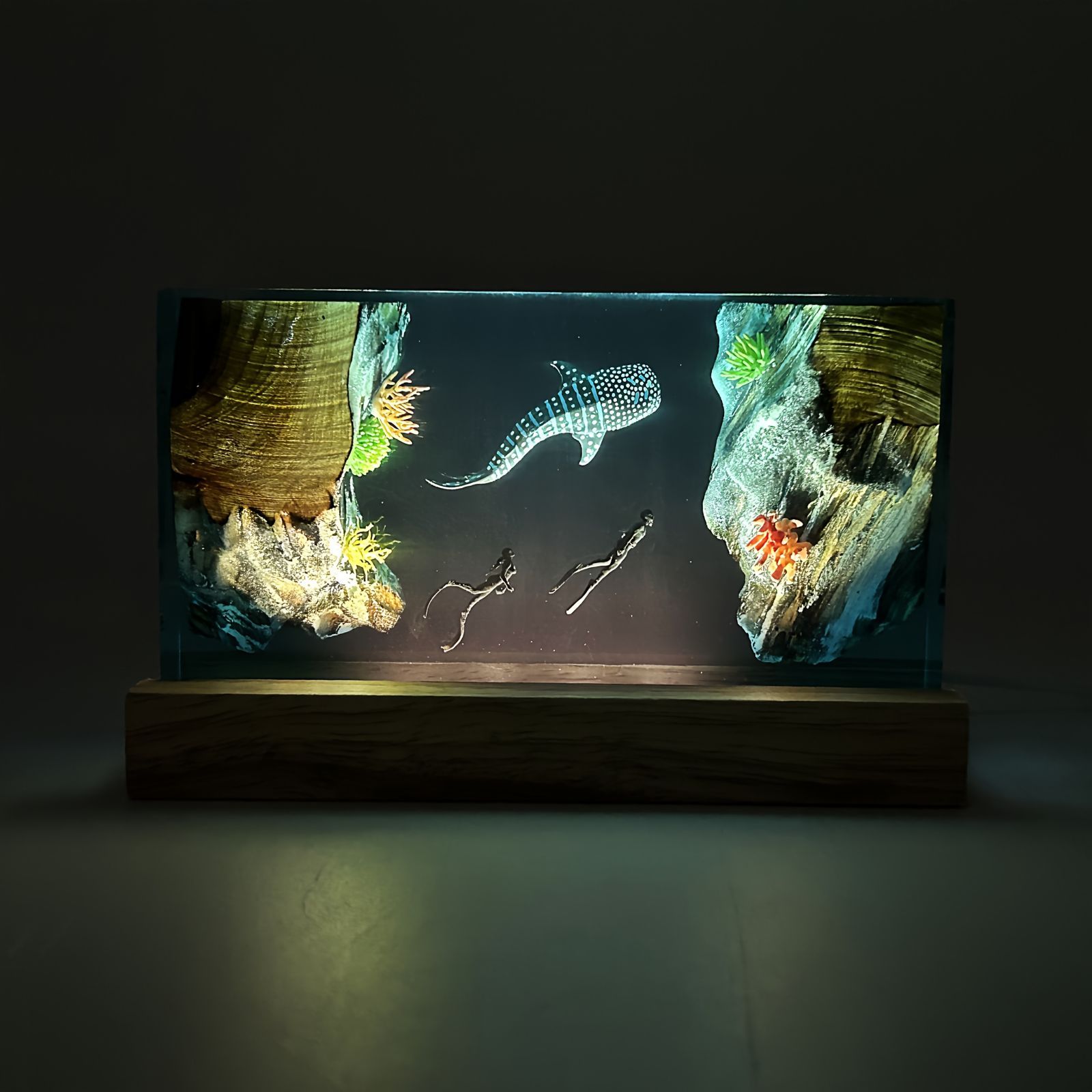 充電式 樹脂