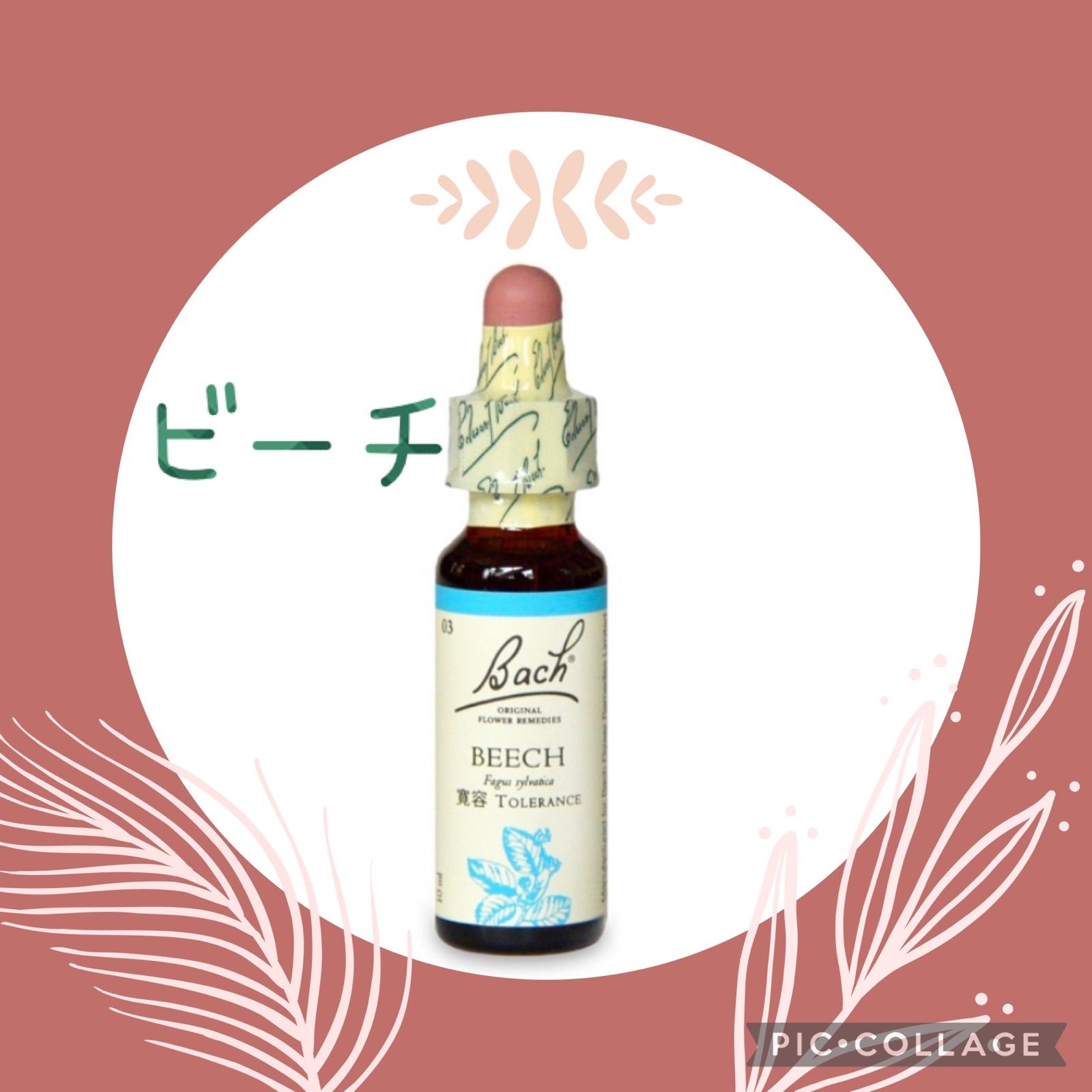 3.ビーチ（10ml ）バッチフラワーエッセンス エインズワース社 - その他