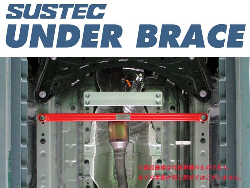 公式 ビカクシダ ベイチー(ビーチー)ワイルドウッドプレート固定