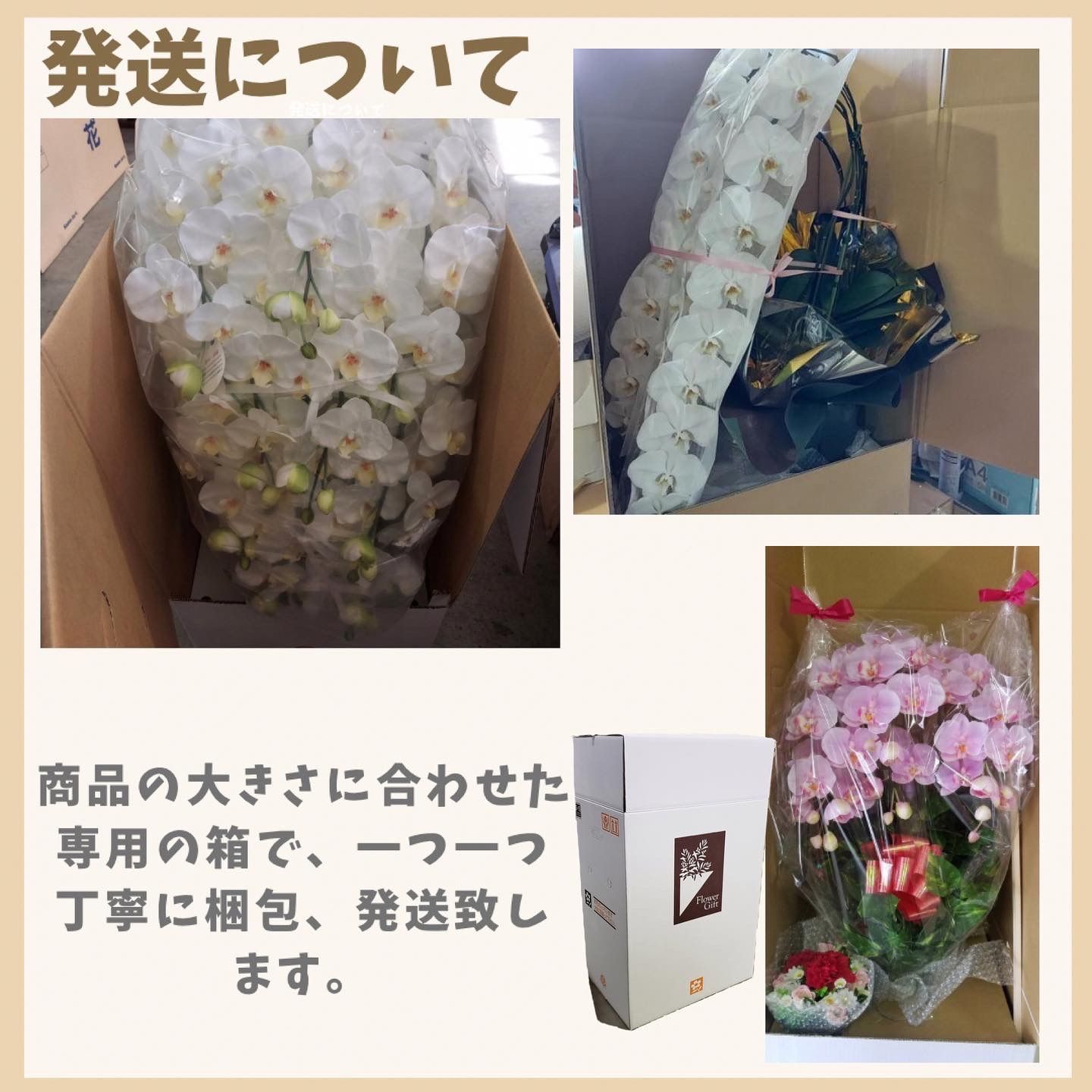仏花(造花)光触媒コーティング - amwallna.com