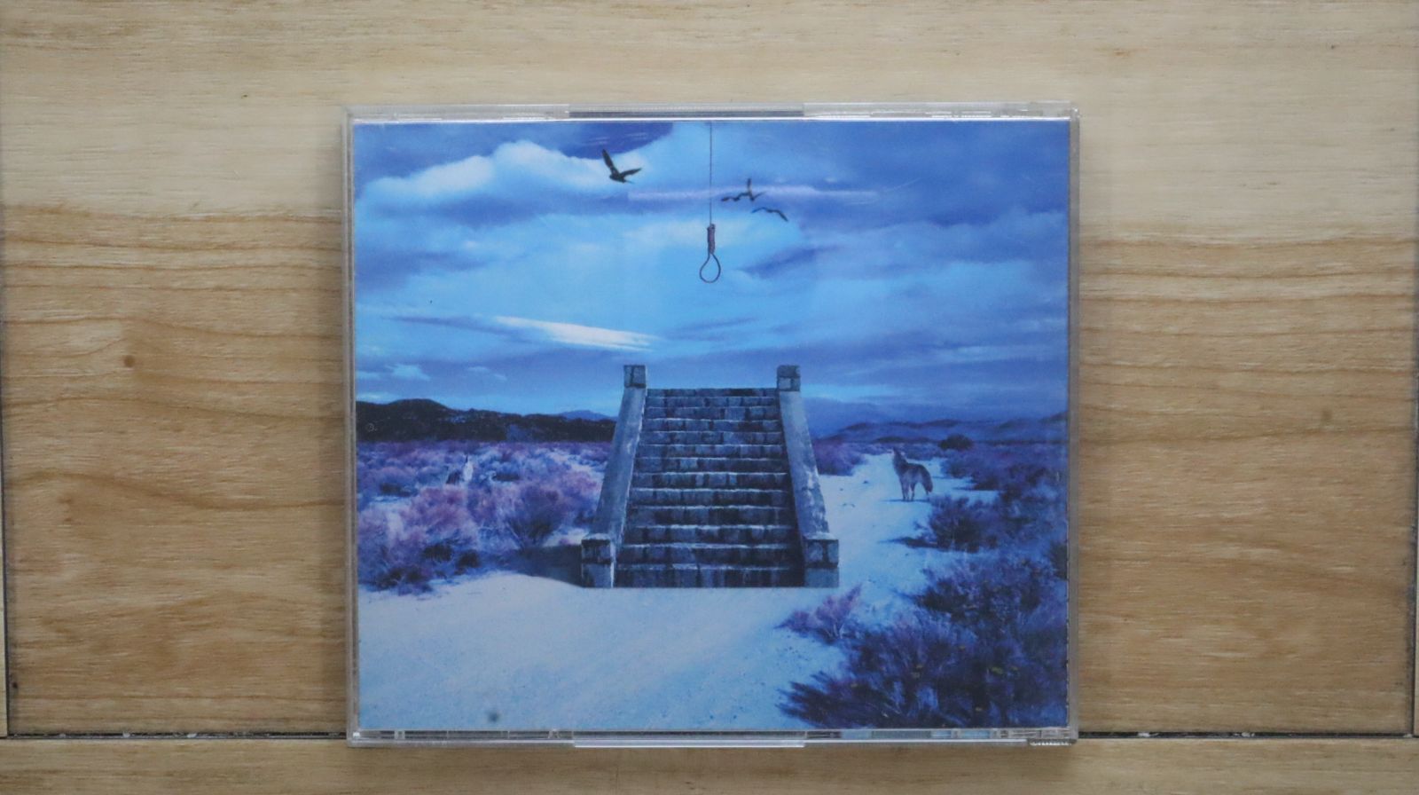 国内盤CD☆サッズ/SADS□ 13 (初回盤) 【UPCH9055/4988005332097