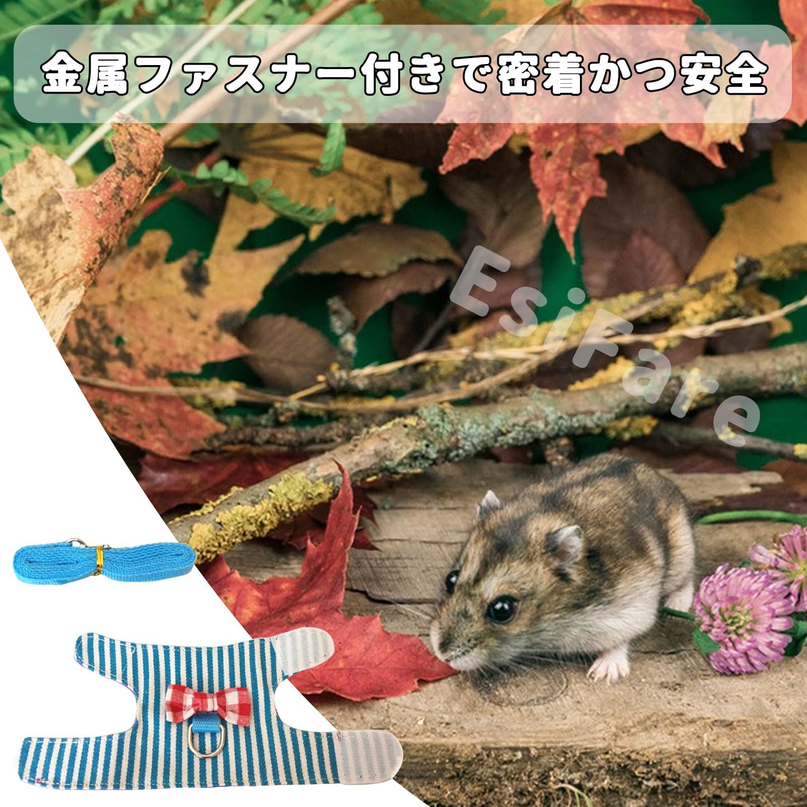 うさぎ